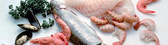 Pescado y Marisco Pescado y Marisco